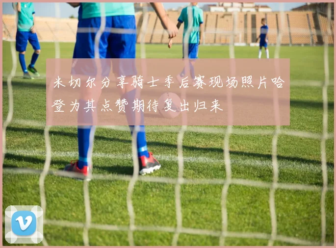米切尔分享骑士季后赛现场照片哈登为其点赞期待复出归来